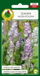szalwia-muszkatolowa-05g-nasiona-pnos