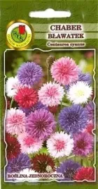 chaber-blawatek-2g-nasiona-pnos-ozarow
