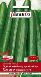 ogorek-pod-oslony-o-dlugim-owocu-caruso-1g-nasiona-salatkowy