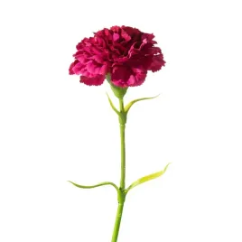 kwiat-sztuczny-natu-122-amarant-eurofirany