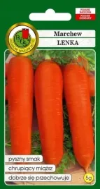 marchew-jadalna-lenka-5g-nasiona
