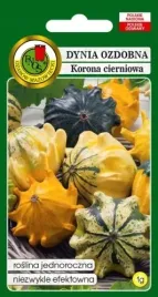 dynia-ozdobna-korona-cierniowa-mieszana-1g-nasiona