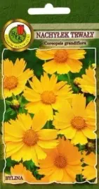 nachylek-trwaly-zlotozolty-1g-nasiona-pnos-ozarow