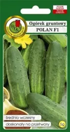 ogorek-gruntowy-polan-f1-5g-nasiona