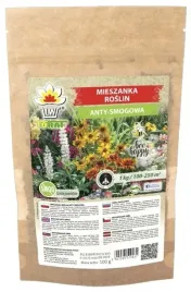 mieszanka-kwiatow-miododajna-anty-smogowa