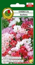 godecja-karlowa-mieszana-1g-nasiona-pnos-ozarow