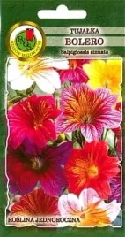 tujalka-bolero-mieszana-1g-nasiona-pnos-ozarow