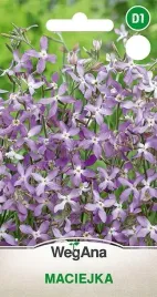 maciejka-przyjemnie-pachnaca-3g-nasiona