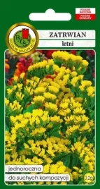 zatrwian-letni-zolty-zloty-do-suchych-kompozycji