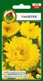 nagietek-zolty-3g-nasiona