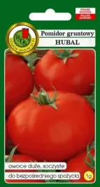 pomidor-gruntowy-hubal-aromatyczny-1g-nasiona-na-przeciery-soki