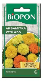 aksamitka-wysoka-gruba-pelna-na-rabaty-nasiona