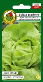 salata-krolowa-majowych-smaczna-1g-nasiona-pnos