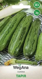 dynia-tapir-cukinia-nasiona-wegana-plenna-smaczna