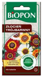 zlocien-trojbarwny-mix-barw-atrakcyjne-kwiaty