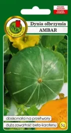 dynia-olbrzymia-ambar-przetwory-5g-nasiona-pnos