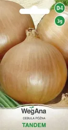 cebula-tandem-bardzo-plenna-nasiona-3g-plenna