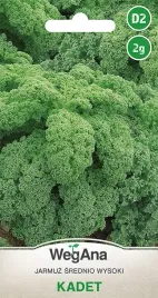 jarmuz-kadet-zielony-nasiona-srednio-pozny-2g