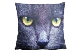 poszewka-40x40-animal-czarny-kot