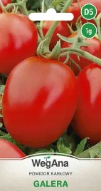 pomidor-galera-karlowy-srednio-wczesny-1g-wegana