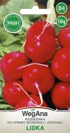 rzodkiewka-lidka-wczesna-10g-wegana-nasiona