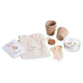 zestaw-mlodego-ogrodnika-nasiona-warzyw-legutko