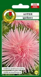 aster-igielkowy-rozowy-08g-nasiona-pnos