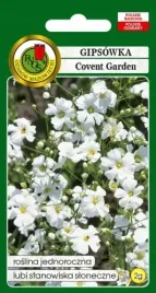 gipsowka-letnia-covent-biala-2g-nasiona-pnos