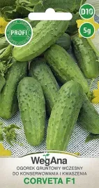 ogorek-gruntowy-corveta-wczesny-nasiona-profi-5g