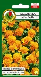 aksamitka-pelna-niska-izolda-1g-pomarancz-nasiona