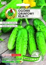 ogorek-gruntowy-reja-f1-6m-nasiona