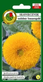 slonecznik-sonnengold-niski-zolty-2g-nasiona-pnos