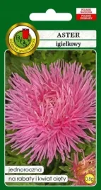 aster-igielkowy-czerwonolososiowy-nasiona-pnos