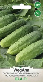ogorek-ela-f1-konserwowy-odporny-5g-wegana-nasiona
