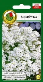 gesiowka-biala-03g-nasiona-pnos-ozarow