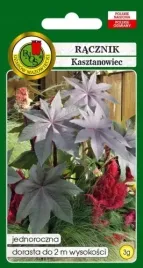 racznik-czerwonolistny-3g-nasiona-pnos-ozarow