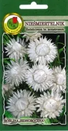 niesmiertelnik-bialy-15g-nasiona-pnos-ozarow
