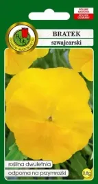 bratek-szwajcarski-goldgelb-zolty-cytrynowy