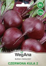 burak-czerwona-kula-2-cwiklowy-wczesny-20g-plenny