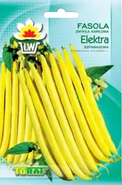 fasola-karlowa-elektra-szparagowa-zoltostrakowa