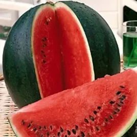 arbuz-rosario-odporny-slodki-smaczny-nasiona