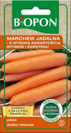 marchew-jadalna-bogata-w-witaminy-karoten-nasiona