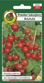 pomidor-gruntowy-bajaja-1g-nasiona