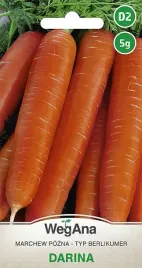 marchew-darina-pozna-berlikumer-nasiona-5g