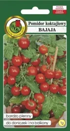pomidor-gruntowy-bajaja-plenny-1g-nasiona-pnos-koktajlowy