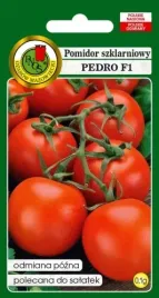pomidor-tunelowy-pedro-plenny-01g-nasiona-pnos