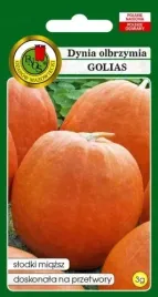 dynia-olbrzymia-golias-3g-nasiona-zupa-przetwory
