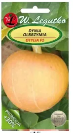 dynia-olbrzymia-otylia-aromatyczny-miazsz-nasiona-legutko