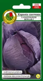kapusta-czerwona-langedijker-bewaar-nasiona-pnos