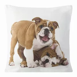 poszewka-ozdobna-40x40-eurofirany-animal-31